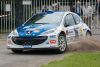 RALLY SHOW 2010